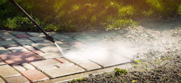 Best Animal Enclosure Cleaning  in Columbiana, AL